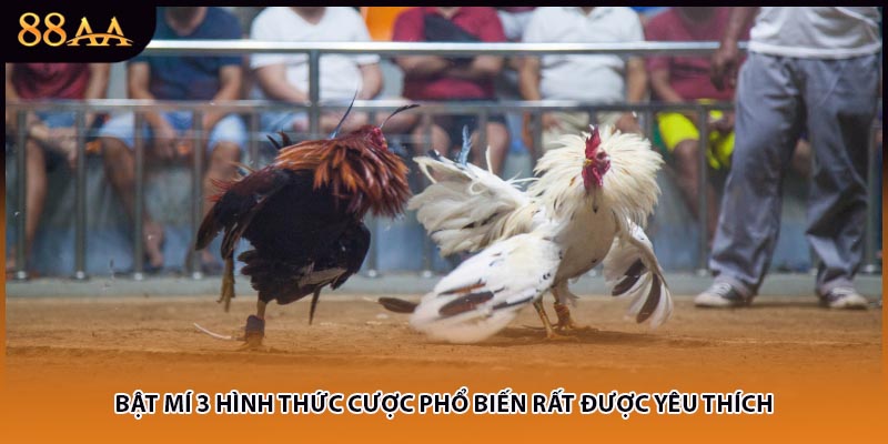 Bật mí 3 hình thức cược phổ biến rất được yêu thích