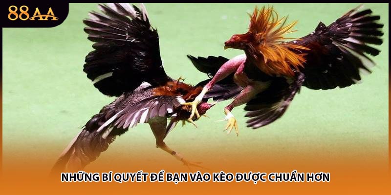 Những bí quyết để bạn vào kèo được chuẩn hơn